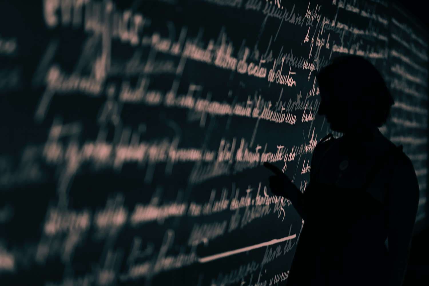 What are the best subtitle languages to add to your videos?